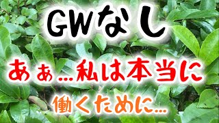 ゴールデンウィーク仕事ということに気づいたブラック工場勤務男の日常