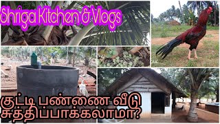 #vlog| ஒரு குட்டி பண்ணை வீடு பார்க்கலாம் வாங்க|தோட்டத்தில் ஒரு வீடு|Very small attractive farm house