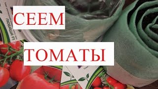 Томаты. Посев Томатов. Рассада в Улитке - Урожай Гарантирован!