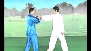 Kung Fu. Arm lock Self-defense. Tai chi Chin Na. 太极擒拿