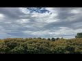 weather diaries. timelapse of clouds brewing in north. 3.45pm. kyneton. 16th dec 2024.