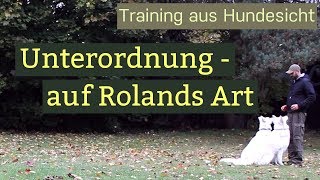 Hundetraining Unterordnung - Training mit zwei Hunden