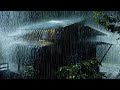 Best Rain | Heavy Rain Sounds: An Immersive Storm Experience for Ultimate Relaxation and Peace