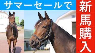 サマーセールで1歳馬を買いました【2020年北海道】