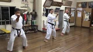 Kata Naihanchi Shodan (Kyudokan) Okinawa, Japan