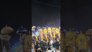 വള്ളുവനാട്ടിലെ വലിയ പൂരം #chinakkathoor_pooram #2024  #ottappalam