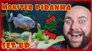 How to set up a Piranha MONSTER aquarium