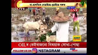 অসমৰ ইমূৰৰ পৰা সিমূৰলৈ গৰু বিহুৰ পাৰভঙা উচাহ। শিৱসাগৰৰ গৰু বিহু #LIVE