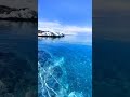 mesmerising blue water shorts nature beauty relaxing claming