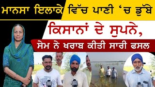 Mansa ਇਲਾਕੇ ਦੇ ਪਿੰਡਾਂ ਵਿੱਚ ਕਿਸਾਨ ਹੋਏ ਦੁੱਖੀ।THE KHALAS TV