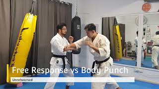 Traditional Karate takes Punches to the Body | Practical Karate Ep. 5.2.