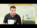 tropica plant care substrate nutrition for aquariums