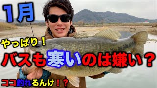 【バス釣り】※重大告知あり！バスも寒いのは嫌い！？暖かい場所に集まるバスを狙い撃ち！