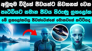 කවුරු හරි එළියේ ඉන්නවා එයාලා මෙන්න මෙහෙමයි | Some one is out there