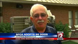 All 66 dogs adopted after being removed from Price Hill home