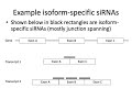 MCB 182 Lecture 4.2 - Reverse genetics (siRNA, antisense oligos)