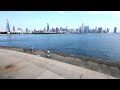 শিকাগো শিকাগো শহরে কি আছে দেখার chicago city tour amazing travel experience