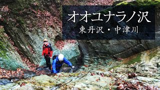 【東丹沢・沢登り】オオユナラノ沢_セラドナイトが綺麗な緑の沢