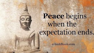 Great Buddha Quotes On Life | Buddha Quotes In English | Wonder Zone