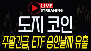 [도지코인] LIVE 긴급속보! \