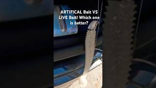 ARTIFICAL Bait VS LIVE Bait! Which one is better? Make sure to check out video for final results!