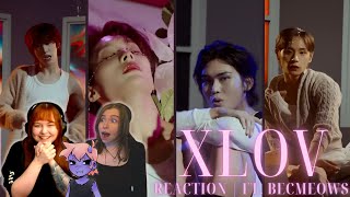 This new group is EVERYTHING! || XLOV 엑스러브 'Imma Be' REACTION (ft. becmeows)