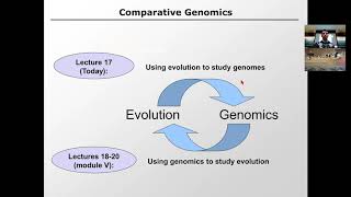 MIT CompBio Lecture 17 - Comparative Genomics