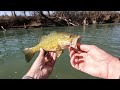 how to catch early spring creek smallmouth bass