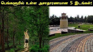 பெங்களூரில் உள்ள அசாதாரணமான 5 இடங்கள்! | Top 5 Unusual Places in Bangalore