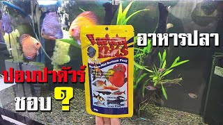 อาหารปลาปอมปาดัวร์ King Fish Variety Bits