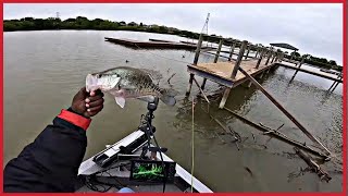 Spawning Crappie Love These Brushpile Locations