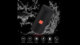 Blueseed TG113 Super Bass Splashproof 10W Wireless Bluetooth/ China made/ Hindi