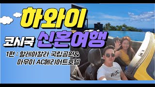 코시국 하와이신혼여행1편!! 마우이 /할레아칼라 국립공원 예약팁/  마우이AC메리어트호텔 인피니티풀 / 하와이신혼여행꿀팁