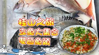 【漁人推介】 阿火帶大家到桂山釣魚，黑沙，白鱲，牛屎，赤鱲樣樣有，電動釣魚輪咩玩法？回家製作雙色魚頭｜剁椒魚頭 Catch and Cook｜Chop bell pepper fish head