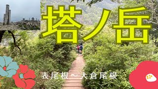 【6月 塔ノ岳〜表尾根から大倉尾根】高尾山登ったら大山、大山登ったら塔ノ岳と約束した通り一歩ずつ前進！ついに登れた塔ノ岳。長かった大倉尾根〜！