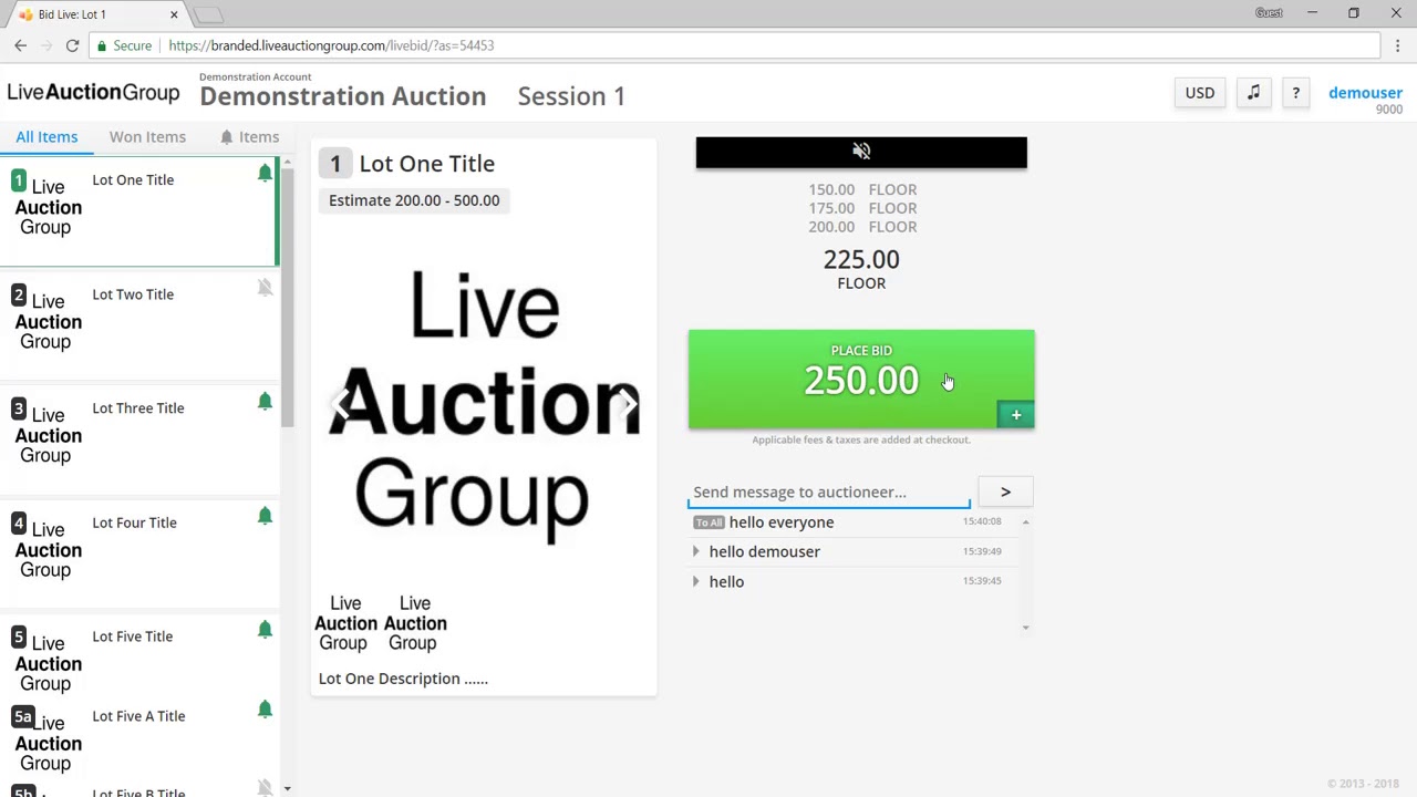 How To Bid In A Live Auction - YouTube