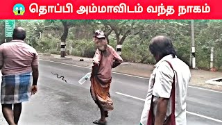 ⁉️😲 தொப்பி அம்மாவிடம் வந்த நாகம் திருவண்ணாமலை 🙏🏻 | తిరువణ్ణామలై, టోపీ తల్లికి వచ్చిన డ్రాగన్ Siddhar