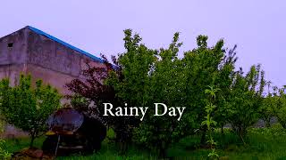 Cold Rain Sounds in abandoned garden | Gentle Rainfall for Relaxing, Sleeping Deeply, Insomnia