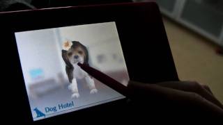 Nintendogs guide - Part 1