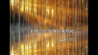 雜阿含813經(1版)2-1.四念處皆內觀不關他人[德藏法師]