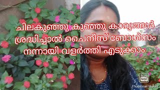 ഇത്ര എളുപ്പത്തിൽ വളർത്താൻ കഴിയുന്ന വേറൊരു ചെടിയില്ല 💕💕#chineesbolsam #floweringplant