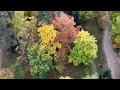 city from above ogre latvia. autumn colors.