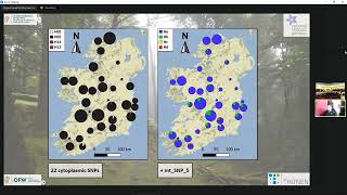 EvolTree Conference 2023 – Belton, Sam: Molecular analysis of the oak syngameon in Ireland – ...