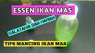 OPLOSAN ESSEN IKAN MAS GALATAMA DAN HARIAN