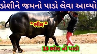 યમરાજ આયા ડોશીનો જીવ લેવા | comedy video wale | gujarati comedy