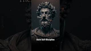 How to Build Self-Discipline - The Stoic Way #stoicism #marcusaurelius