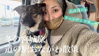 【冬の宮城旅】キャンピングカーで旅する野犬の子、道の駅おながわを散策する