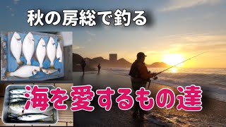 秋の房総サーフに青物を追った～海を愛する者同士