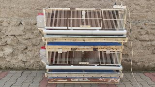 Bıldırcın Kafesi Yapımı.Bıldıcın kümesi Yapımı.Otamatik Bıldırcın Barınağı.Quail Cage Making.( DIY )