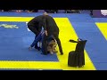 final diogo baby shark reis vs cleber clandestino sousa. peso pluma brasileiro de jiu jitsu 22.